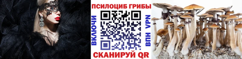 Псилоцибиновые грибы Magic Shrooms  Шлиссельбург 
